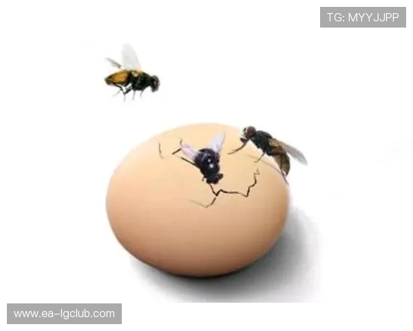 印度足球赛场惊现奇葩一幕球员怒摔手机引发全场哗然